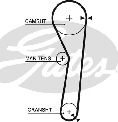 GATES 5316 - Timing Belt car-mod.net