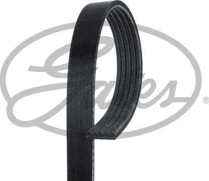 GATES 5PK1453 - V-Ribbed Belt car-mod.net
