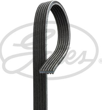 GATES 6DPK1838 - V-Ribbed Belt car-mod.net