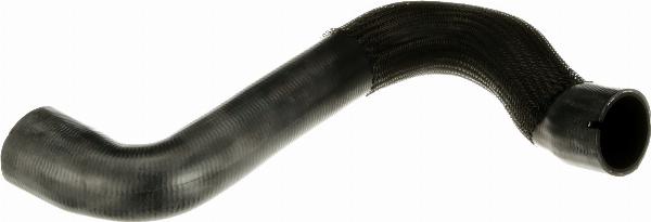 GATES 05-5659 - Radiator Hose car-mod.net