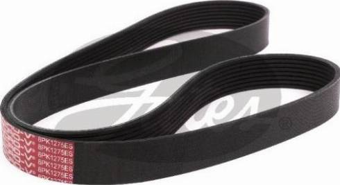 GATES 8PK1275ES - V-Ribbed Belt car-mod.net