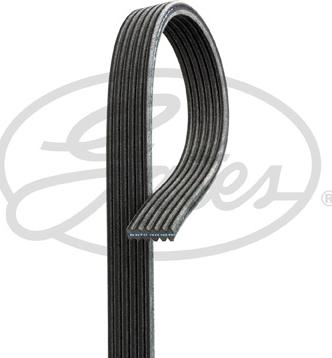 GATES 6DPK1320 - V-Ribbed Belt car-mod.net