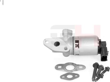 GH GH-739323 - EGR Valve car-mod.net