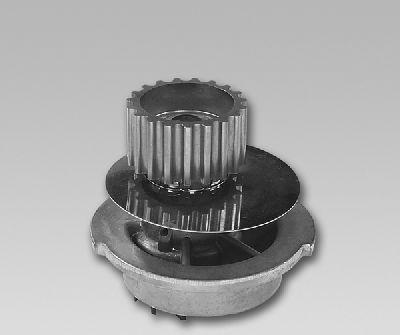 GK 982793 - Water Pump car-mod.net