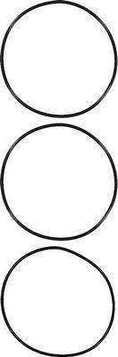 Glaser R38497-01 - O-Ring Set, cylinder sleeve car-mod.net