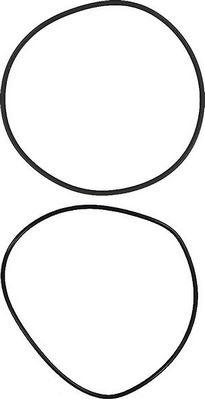 Glaser R38717-00 - O-Ring Set, cylinder sleeve car-mod.net