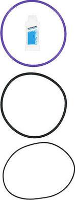 Glaser R38738-00 - O-Ring Set, cylinder sleeve car-mod.net