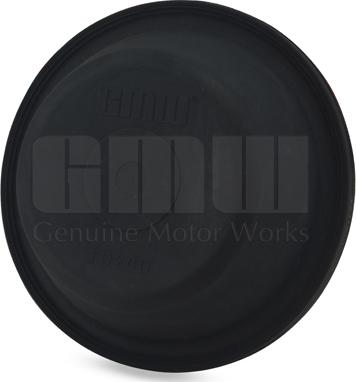 GMW TD20D - Diaphragm, diaphragm brake cylinder car-mod.net