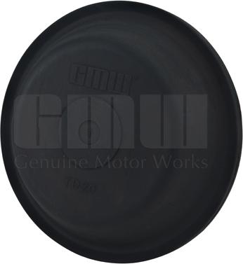 GMW TD20 - Diaphragm, diaphragm brake cylinder car-mod.net