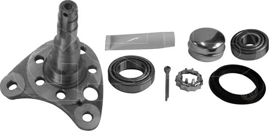 GSP 9499014K - Steering Knuckle, wheel suspension car-mod.net