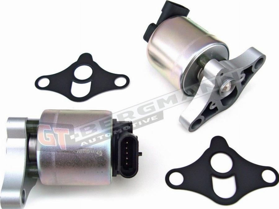 GT-BERGMANN GT55-005 - EGR Valve car-mod.net