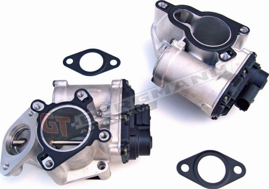 GT-BERGMANN GT55-018 - EGR Valve car-mod.net