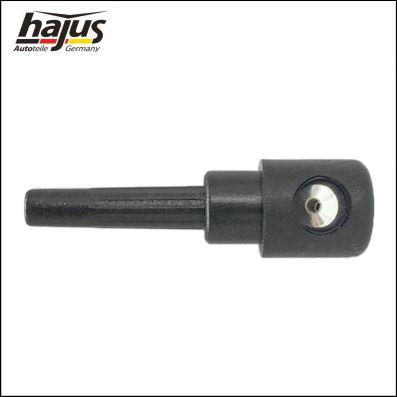 hajus Autoteile 9591113 - Washer Fluid Jet, windscreen car-mod.net