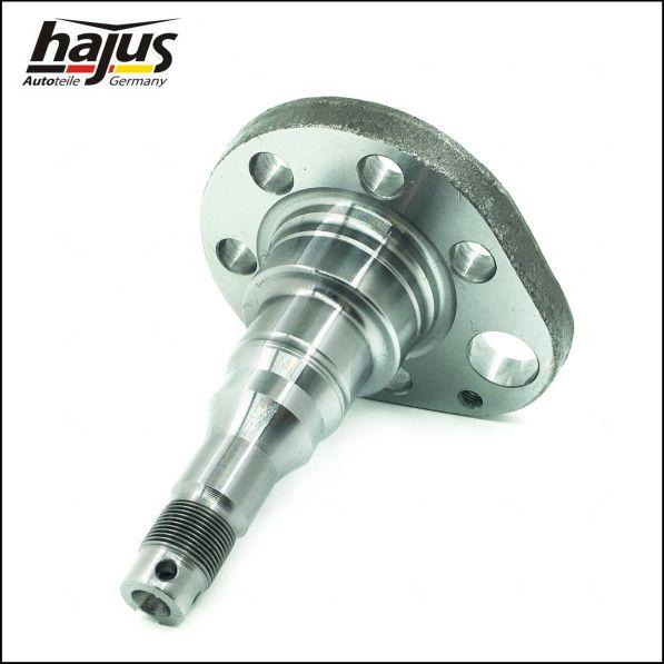 hajus Autoteile 4071064 - Kingpin, axle beam car-mod.net