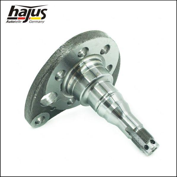 hajus Autoteile 4071065 - Kingpin, axle beam car-mod.net