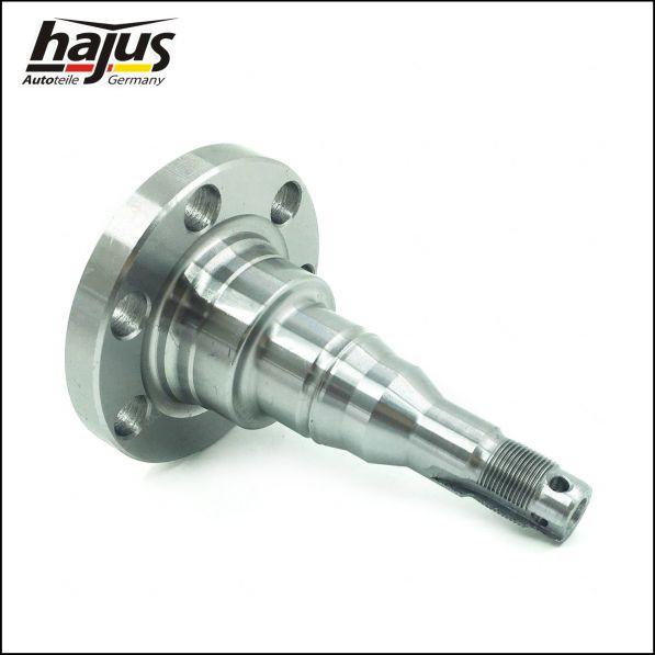 hajus Autoteile 4071066 - Kingpin, axle beam car-mod.net