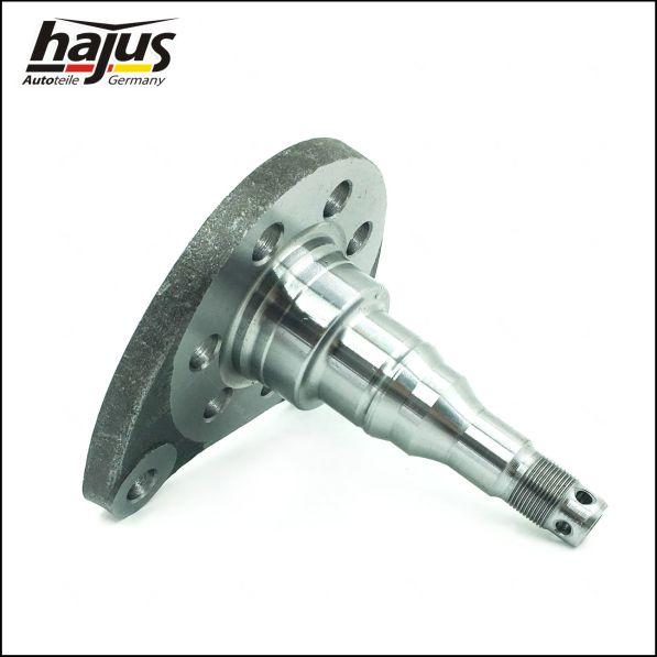 hajus Autoteile 4071063 - Kingpin, axle beam car-mod.net