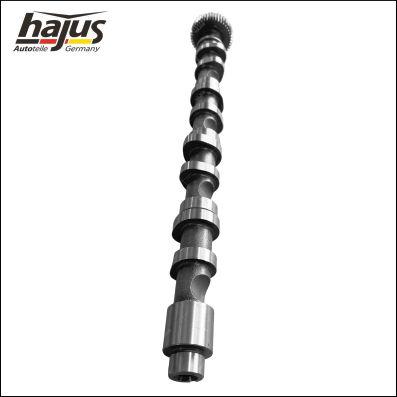 hajus Autoteile 1091061 - Camshaft car-mod.net