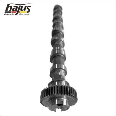 hajus Autoteile 1091062 - Camshaft car-mod.net