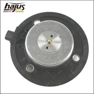 hajus Autoteile 1151480 - Central Magnet, camshaft adjustment car-mod.net
