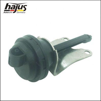 hajus Autoteile 1151299 - Throttle body car-mod.net
