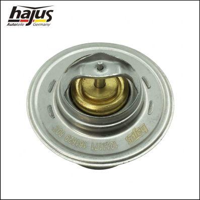hajus Autoteile 1211171 - Coolant thermostat / housing car-mod.net