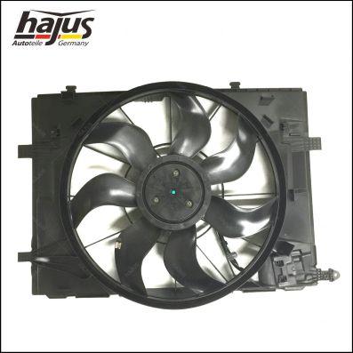 hajus Autoteile 1211343 - Fan, radiator car-mod.net
