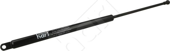 Hart 807 261 - Gas Spring, boot, cargo area car-mod.net