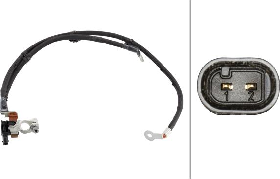 HELLA 6PK 010 544-921 - Sensor, battery management car-mod.net