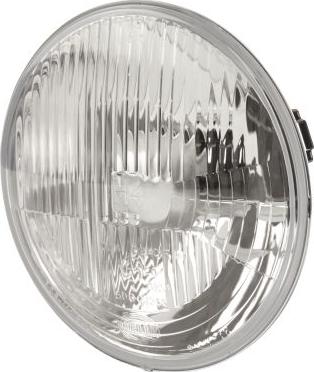 HELLA 1A6 002 395-031 - Insert, headlight car-mod.net