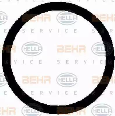 HELLA 8FK 351 126-341 - Compressor, air conditioning car-mod.net