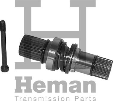 HEMAN TT10008 - Stub Axle, differential car-mod.net