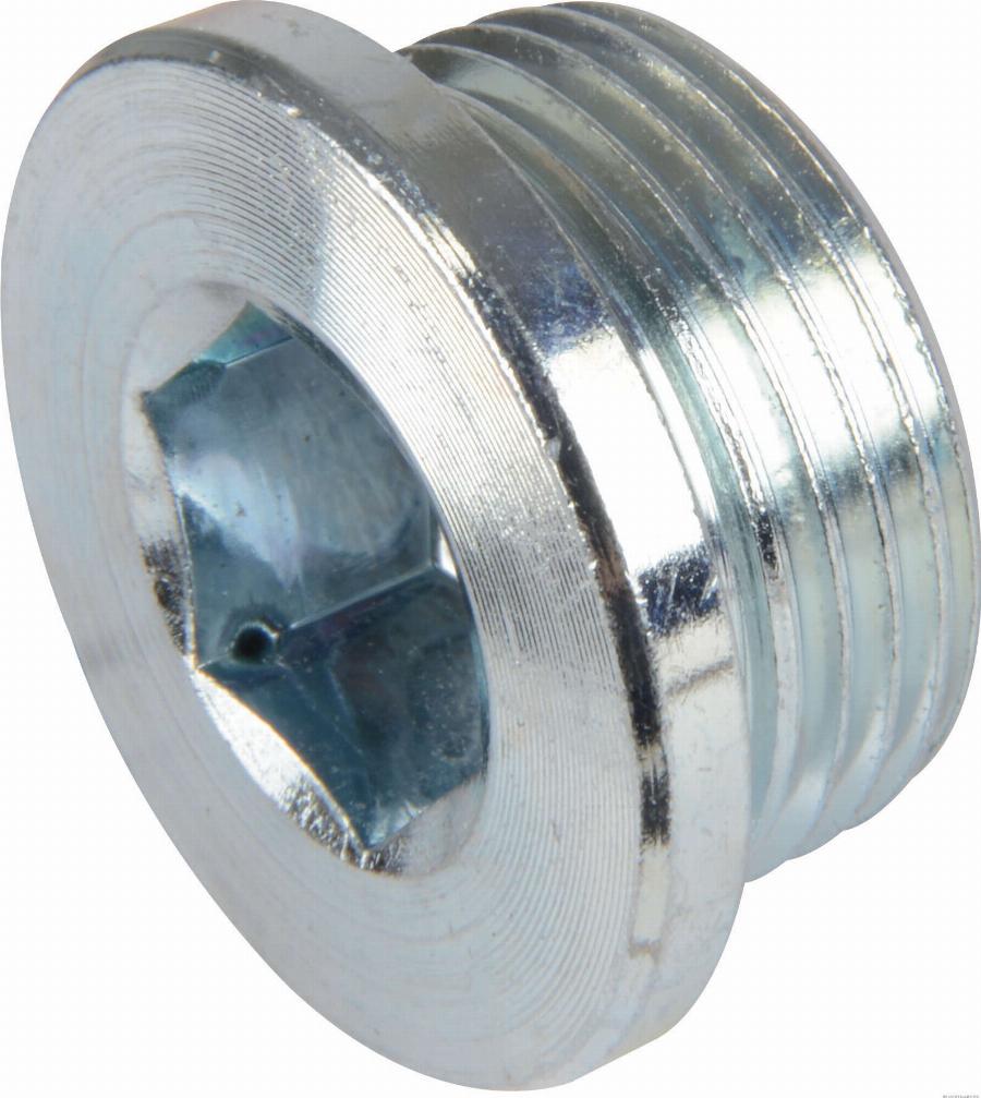 Herth+Buss Elparts 50240018 - Sealing Plug, oil sump car-mod.net
