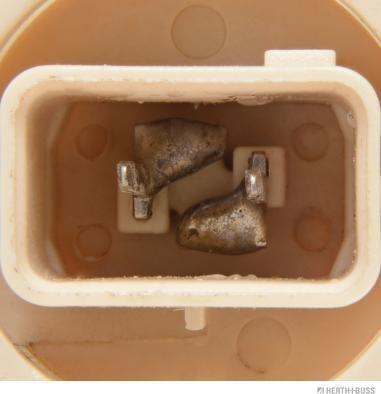 Herth+Buss Elparts 89901424 - Bulb, indicator car-mod.net