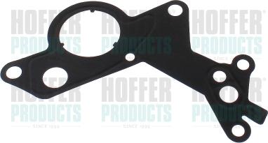 Hoffer 91255 - Gasket, vacuum pump car-mod.net