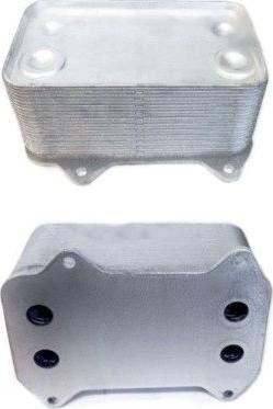 Hoffer 8095058 - Oil Cooler, engine oil car-mod.net