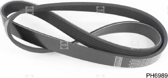 Hola PH6989 - V-Ribbed Belt car-mod.net