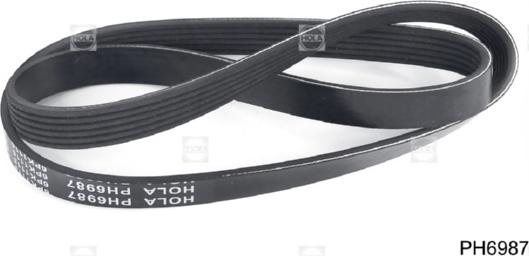 Hola PH6987 - V-Ribbed Belt car-mod.net