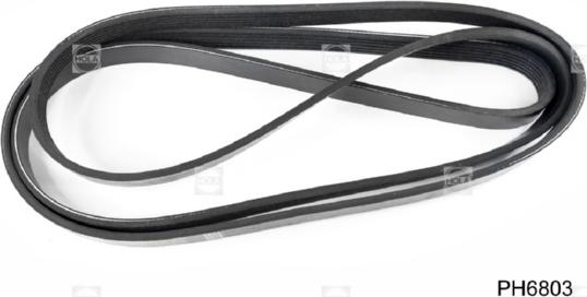 Hola PH6803 - V-Ribbed Belt car-mod.net