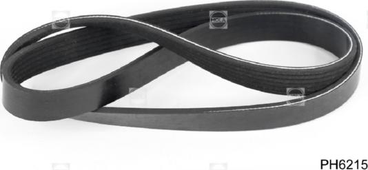 Hola PH6215 - V-Ribbed Belt car-mod.net