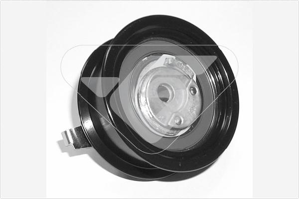 Hutchinson HTG 107 - Tensioner Pulley, timing belt car-mod.net