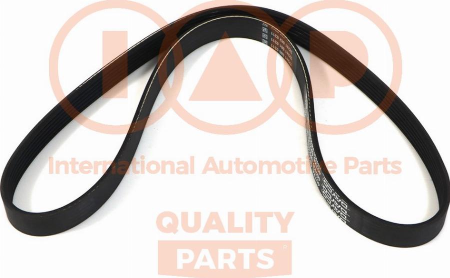 IAP QUALITY PARTS 140-50040 - V-Ribbed Belt car-mod.net