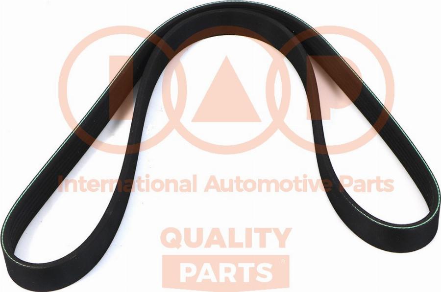 IAP QUALITY PARTS 140-50041 - V-Ribbed Belt car-mod.net
