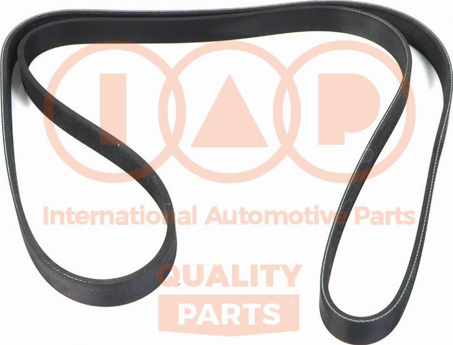 IAP QUALITY PARTS 140-51031 - V-Ribbed Belt car-mod.net