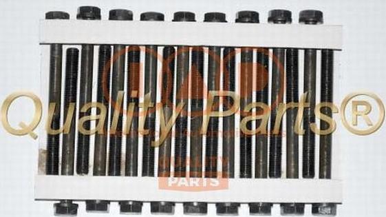 IAP QUALITY PARTS 119-09012 - Bolt Kit, cylinder head car-mod.net