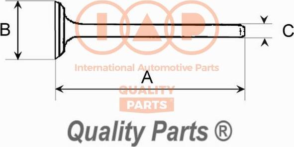 IAP QUALITY PARTS 110-07002 - Inlet Valve car-mod.net