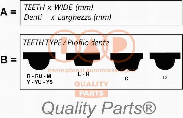 IAP QUALITY PARTS 128-50010 - Timing Belt car-mod.net