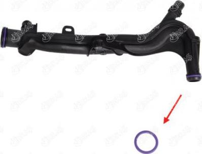 Ibras 17160 - Seal, coolant tube car-mod.net