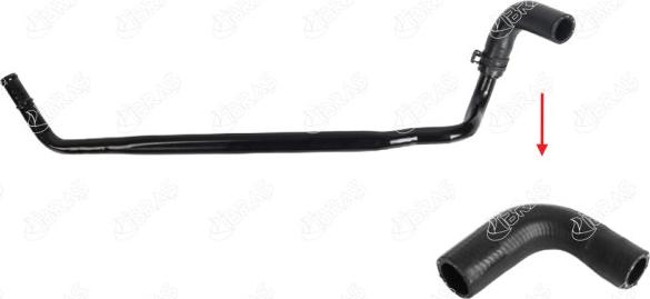 Ibras 21091 - Radiator Hose car-mod.net