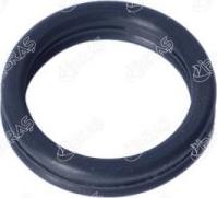 Ibras 28065 - Seal, coolant pipe car-mod.net